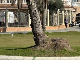 236-13-01-2026 IMG_3432